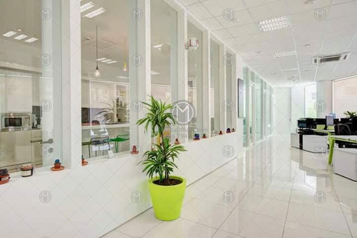 Office Floor for Rent in Ta’ Xbiex (700m2)