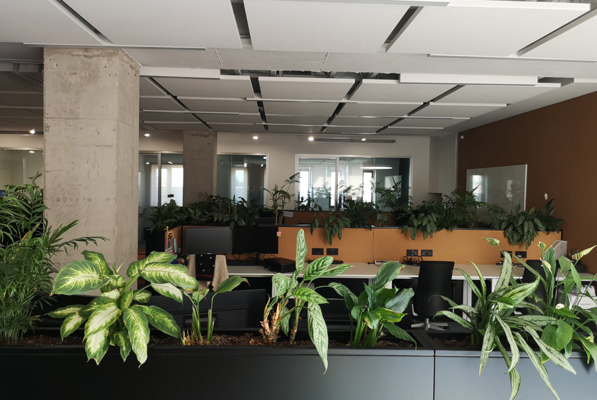 Highly Finished & Furnished Office (316 sqm)