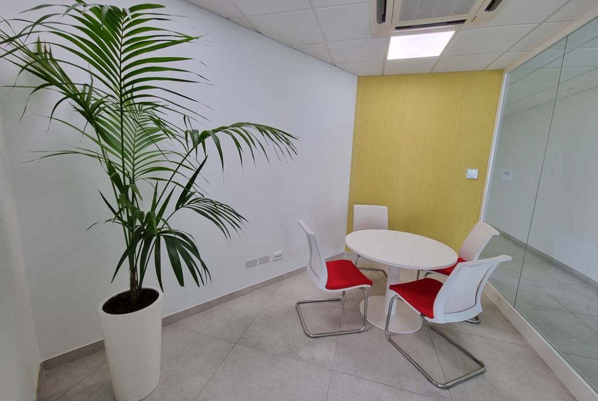 Penthouse Office In Sliema