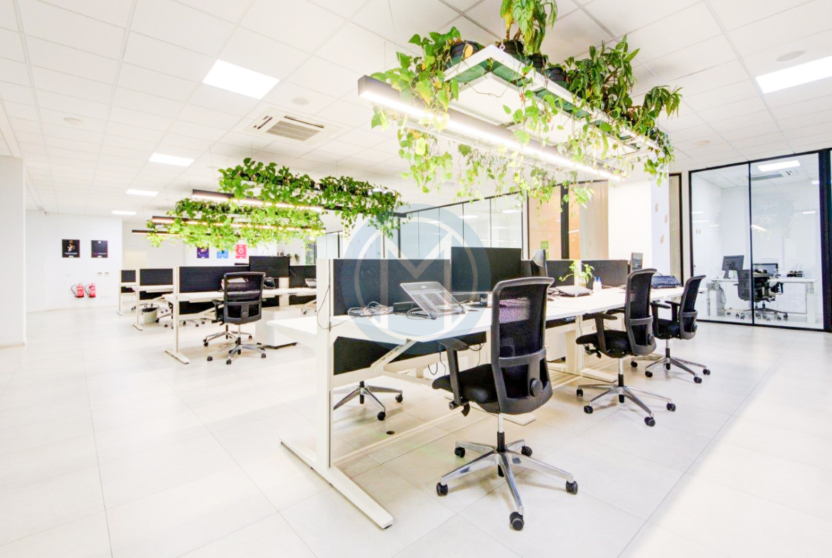 Offices in Swieqi