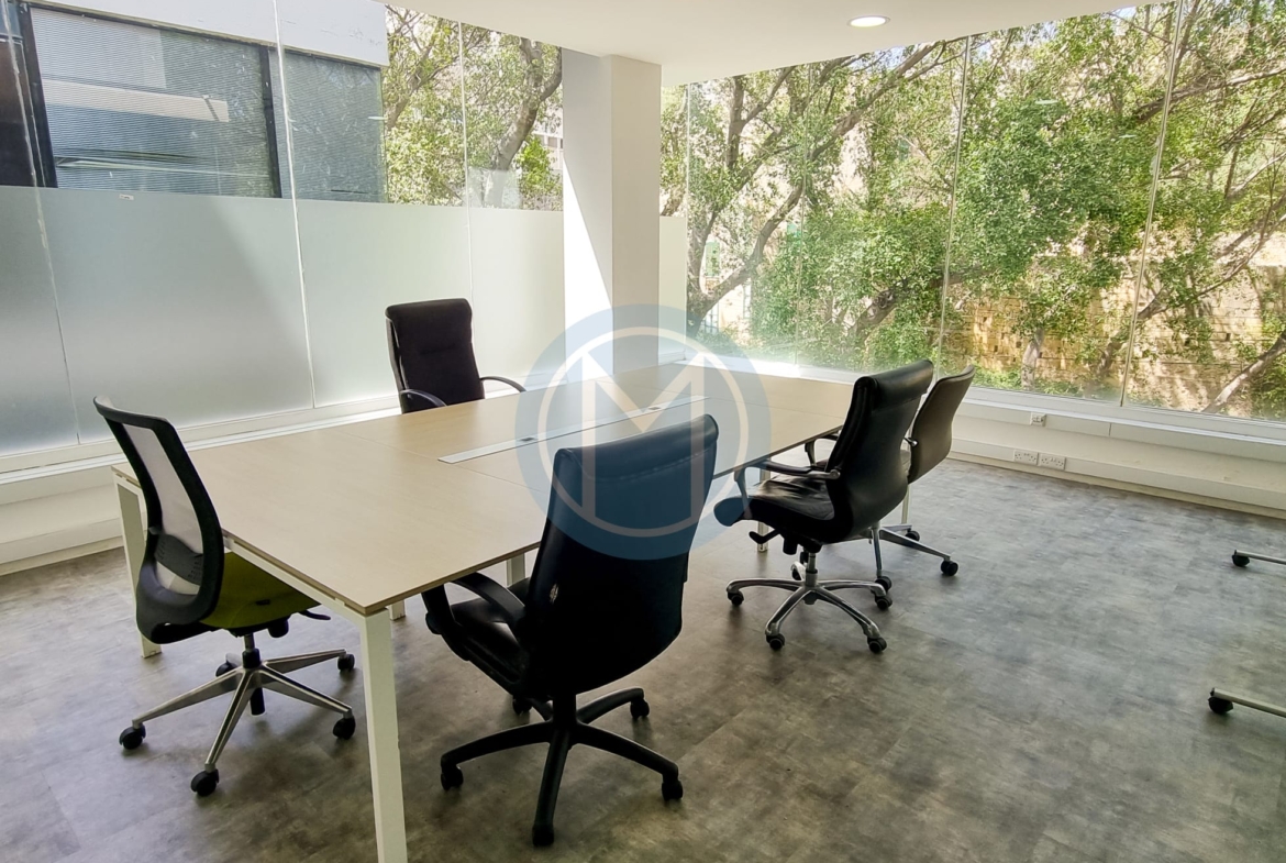 Birkirkara Office To Let