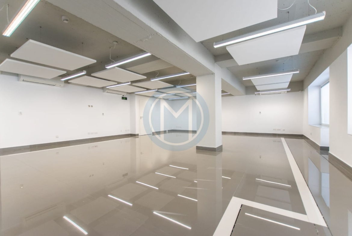 Modern Gzira Office With Terrace