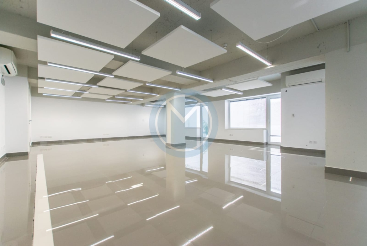 Modern Gzira Office With Terrace