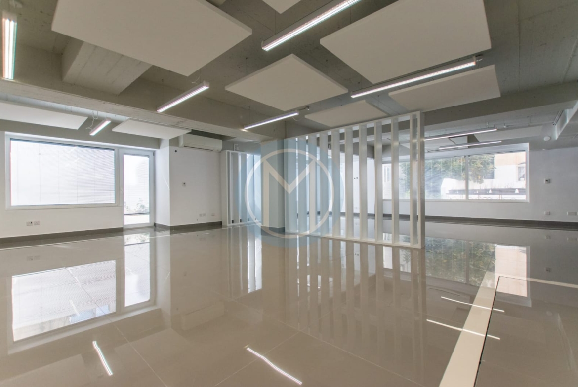 Modern Gzira Office With Terrace