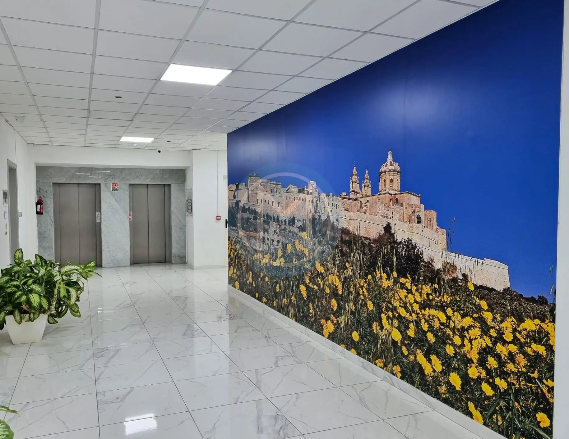 130 SQM Office To Let in Sliema