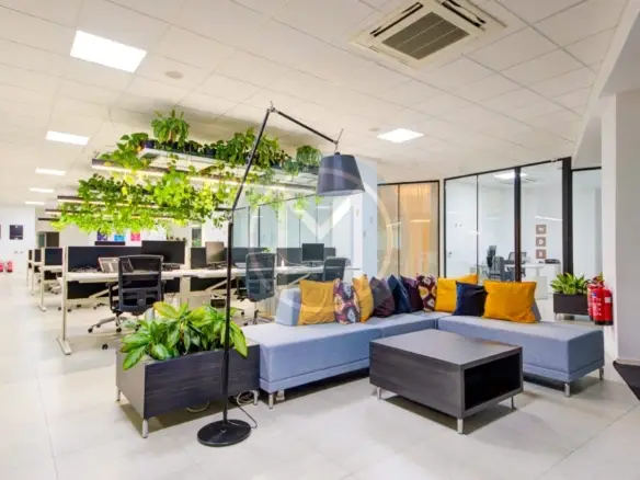 Office in Swieqi