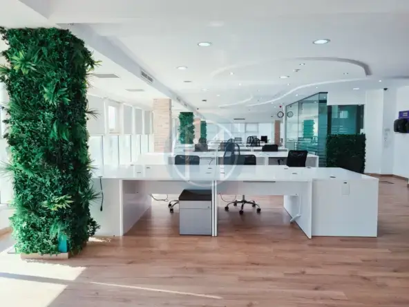 Office in Ta' Xbiex To Let