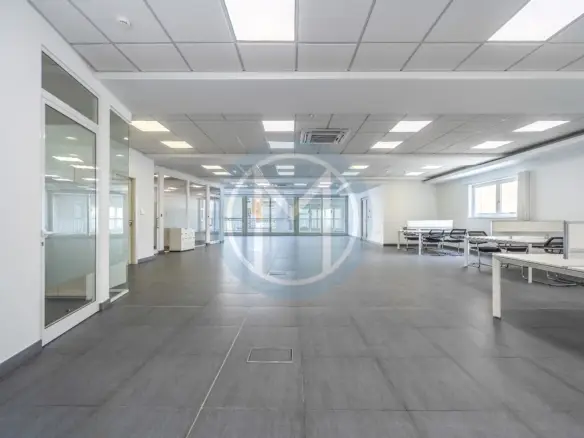 250 SQM Sliema Office To Let