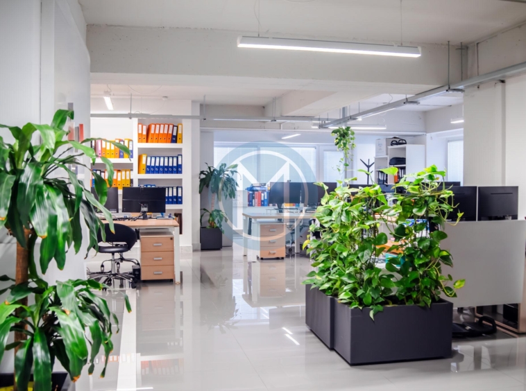 Furnished Gzira Office With Terrace