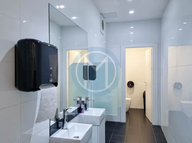 Large Gzira Office