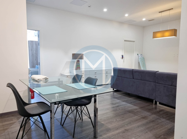 Large Gzira Office