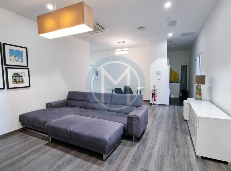 Large Gzira Office