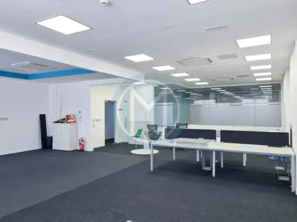 Large Gzira Office