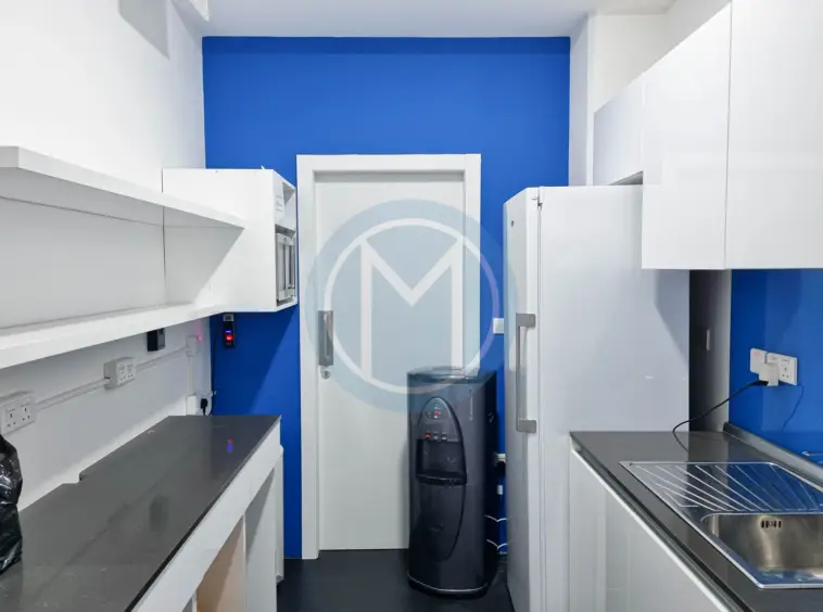 Large Gzira Office