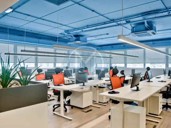 Furnished Paola Office