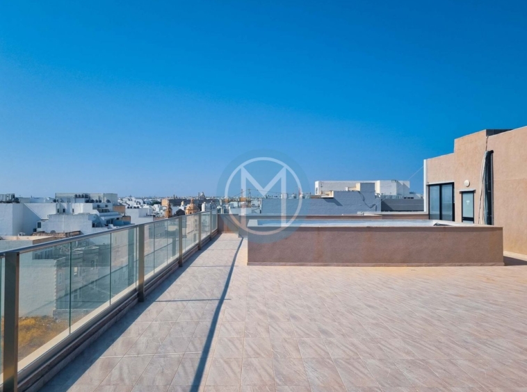 Penthouse Office with Terrace