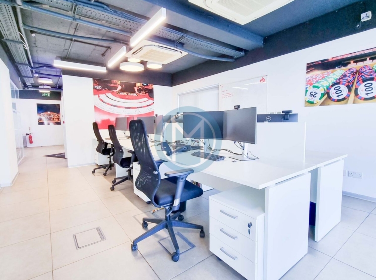 Penthouse Office with Terrace