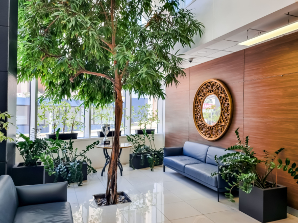 Biophilic Offices in Malta