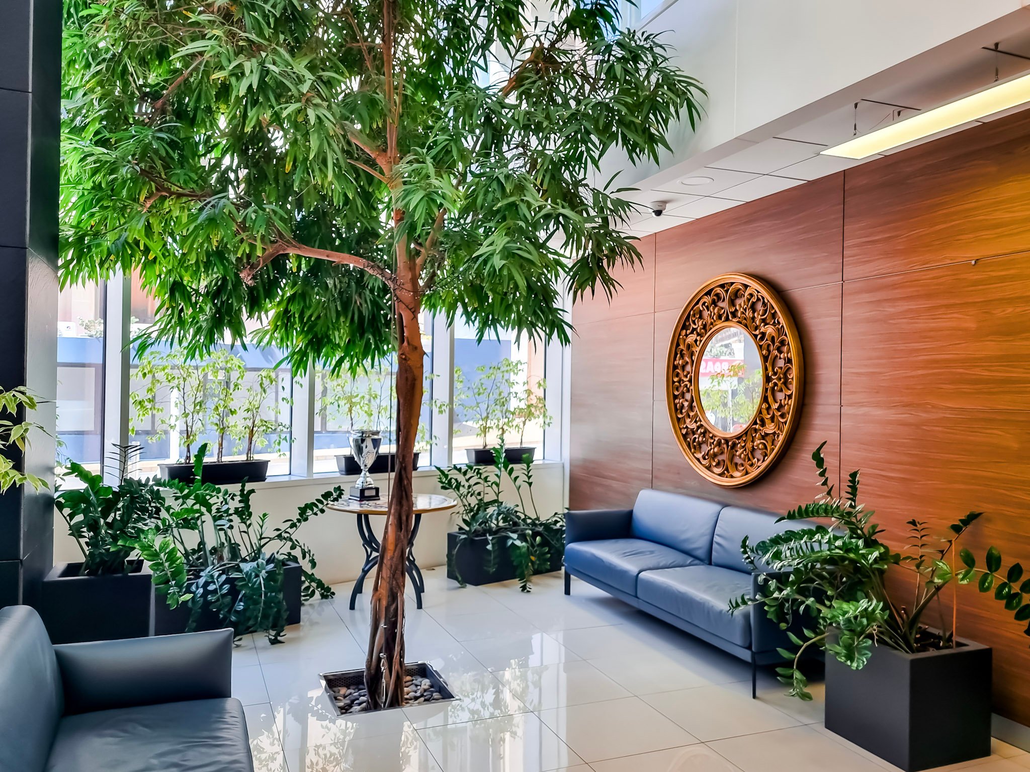 Biophilic Offices in Malta