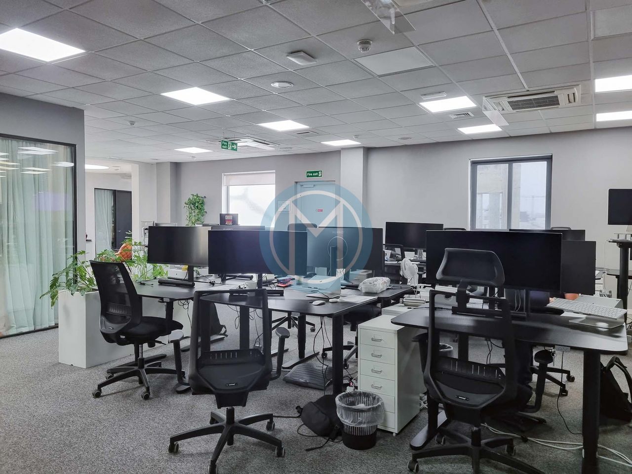 800 SQM Sliema Office to Let