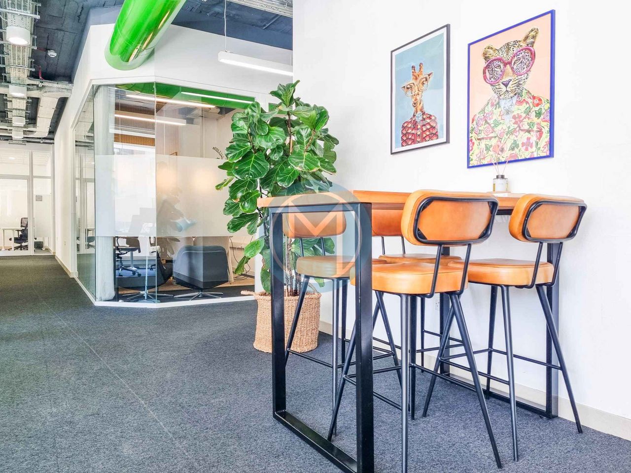 Serviced Gzira Office To Let