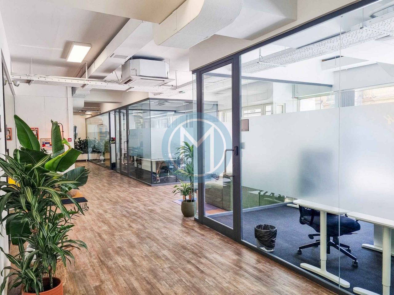 Serviced Gzira Office To Let