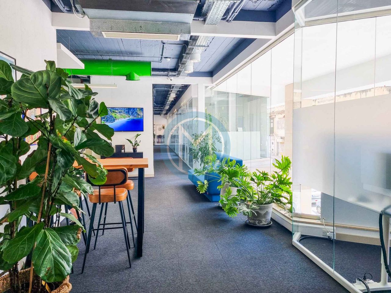 Serviced Gzira Office To Let