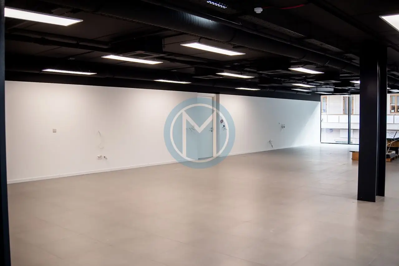 690a03bed57d6d039b28add0_68e37966d57d6d039b2350ac 150 SQM Ta' Xbiex Office For Rent