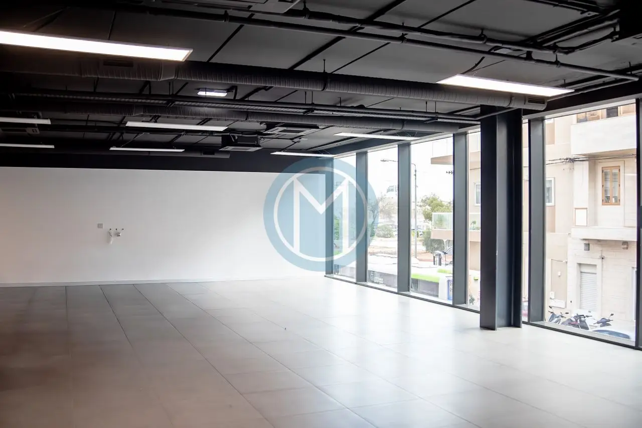 690a03bed57d6d039b28add0_68e37984d57d6d039b235702 150 SQM Ta' Xbiex Office For Rent