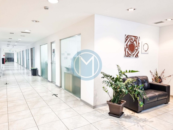 Central Office For Rent