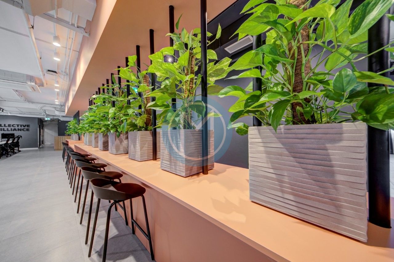 940 SQM Modern Office for Rent in St Julian’s 940 SQM Modern Office for Rent in St Julian’s