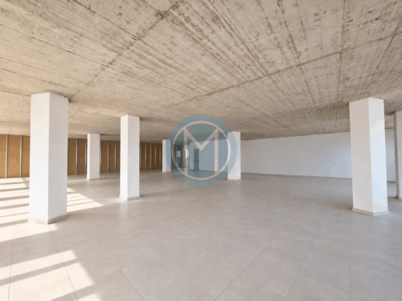 350 SQM Workspace for Rent in Mriehel